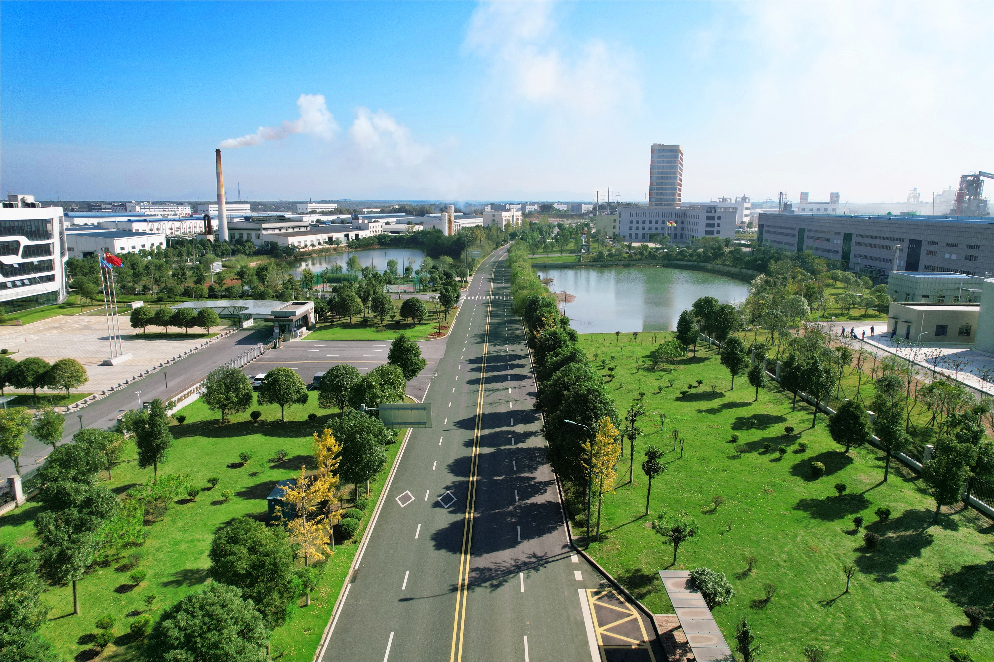 白杨路